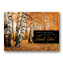 Amber Appreciation Thanksgiving Cards